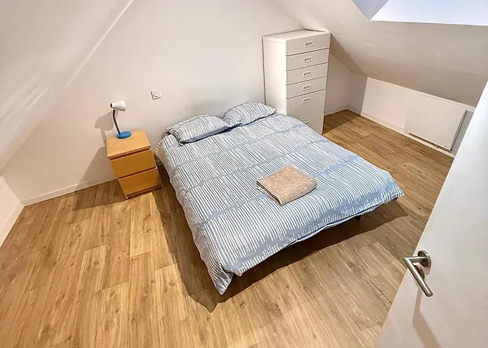 Large Elegant Duplex - 5 Bedroom - Center - Ac * Angers